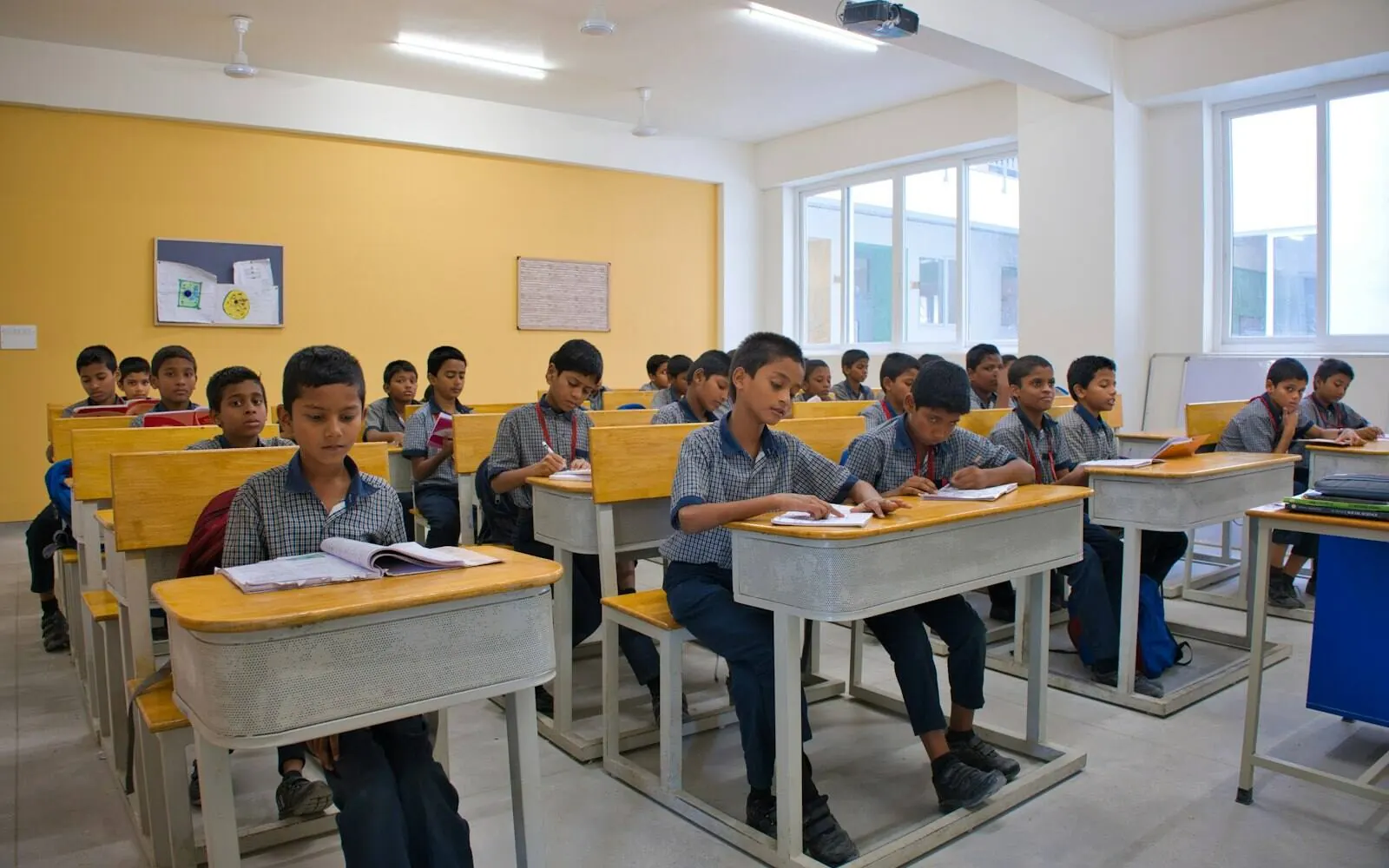 Education software development