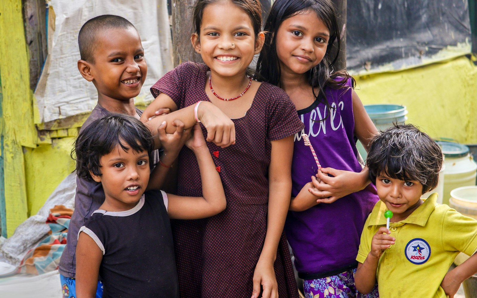 NGO & Foundation